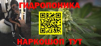 гашик Краснознаменск