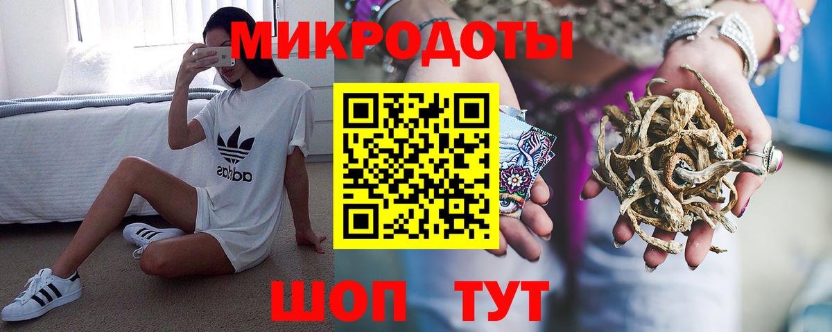 Псилоцибиновые грибы Psilocybine cubensis Донецк