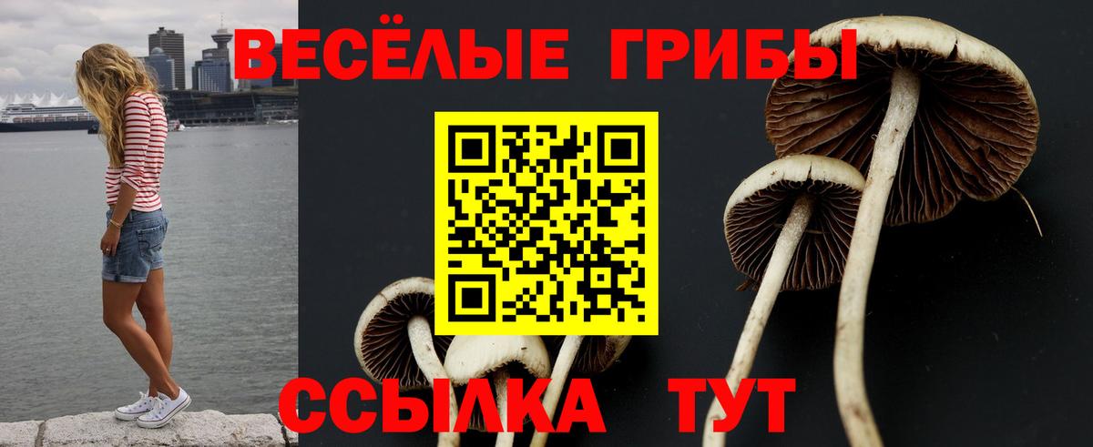 Галлюциногенные грибы прущие грибы  Вход с VPN  Донецк 